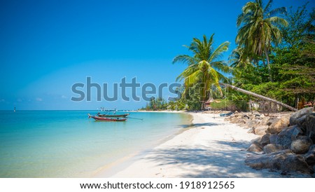 Panoramic view of tropical beach with coconut palm trees. kohphangan, Thailand