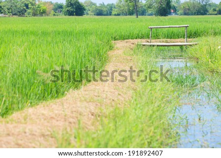 Water canal for paddy rice field irrigation.