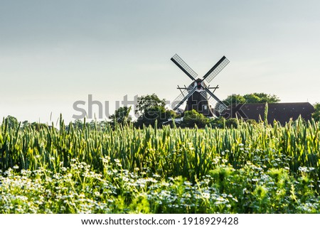 Windmill Seriemer Muehle in rural landscape, East Frisia, Lower Saxony, Germany Royalty-Free Stock Photo #1918929428