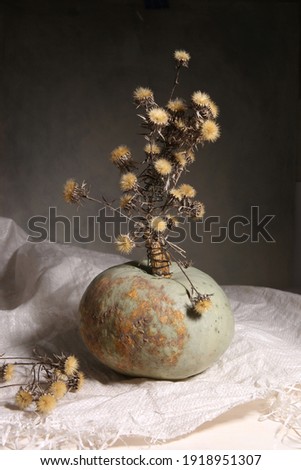 Still life with pumpkin and dried flowers. Dark autumn or winter composition with pumpkin indoor.