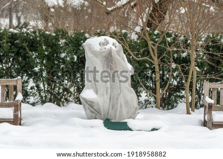 Plants and trees in a park or garden covered by the snow and blanket, swath of burlap, frost protection bags or roll of fabric to protect them from frost, freeze and cold temperature Royalty-Free Stock Photo #1918958882