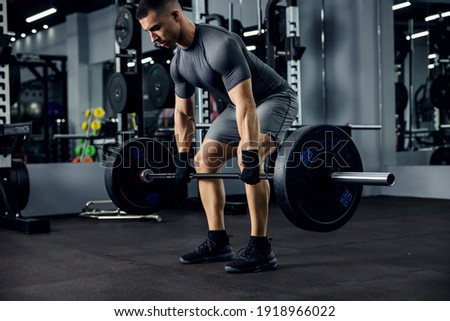 A portrait of a male weightlifter in grey sportswear. He does barbell fitness workout in the modern gym. Weightlifting, power lifting training, sports lover Royalty-Free Stock Photo #1918966022