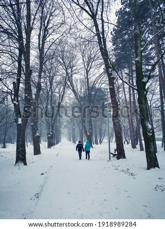 Trnava, Slovakia - February 17, 2021 Park Janka Krala. Snow fall daytime