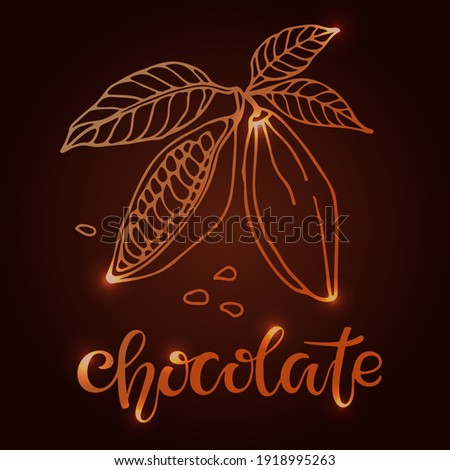 Shining Handwritten Chocolate text and Cacao beans with leaves sketch on brown background. Doodle Outline illustration for cafe, shop, menu. For label, logo, emblem, symbol. Organic food illustration