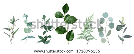 Mix of herbs and plants vector big collection. Cute rustic wedding greenery.True blue, silver dollar eucalyptus, foliage, fern, salal leaves and stems. Watercolor style set. All elements are isolated Royalty-Free Stock Photo #1918996136