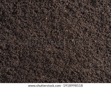 vermicompost processed by worms for planting seedlings plant