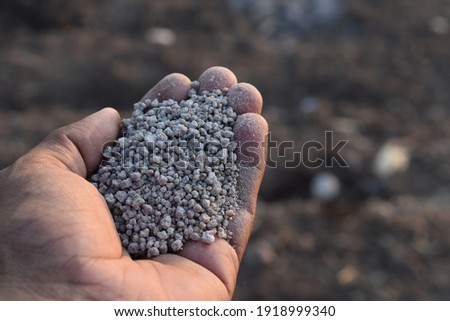 hand holding agriculture fertilizer granules. Concept of role and importance of fertilisers in Agriculture.  Royalty-Free Stock Photo #1918999340