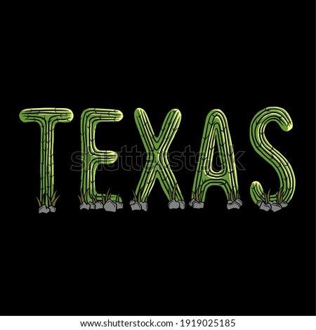 Texas typography design lettering vector