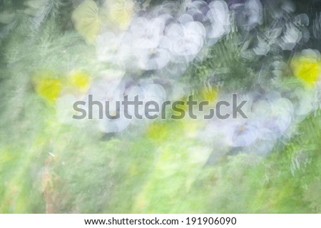 An abstract background photo impression of colorful spring flowers in a garden