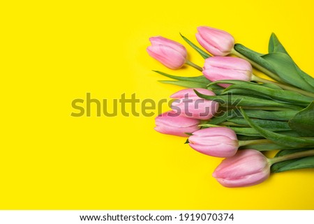 Bouquet of pink tulips on a yellow background. March 8 International Women's Day Easter Mother's Day birthday banner. Top view, copy space