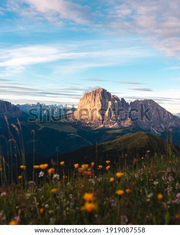 Langkofel, Gardena valley, South Tyrol, Italy: Beautiful summer sunrise image of Langkofel mountain. Blue sky, scattered clouds, flowers on a meadow, iconic view. Background image, no people. 
