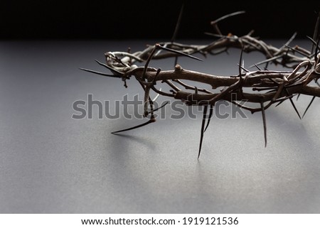 backlit crown of thorns on black background Royalty-Free Stock Photo #1919121536