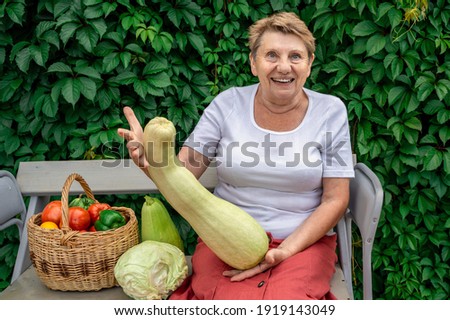 a woman of retirement age holds vegetables from garden ( big zucchini ) in summer in sunny weather Royalty-Free Stock Photo #1919143049