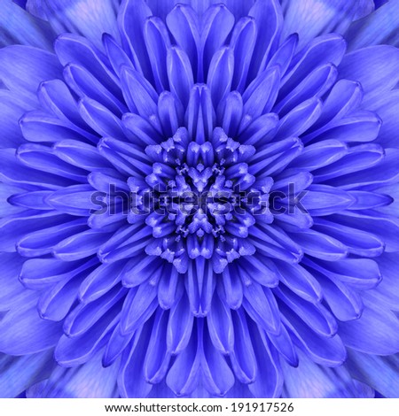 Blue Concentric Flower Center Close-up. Mandala Kaleidoscopic design