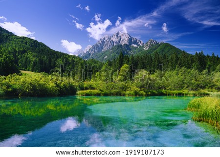 Green nature landscape. Amazing view on Zelenci (into English means - green) nature reserve and Alps mountains in Slovenia, Europe. Beautiful alpine valley with emerald lake at summer time.