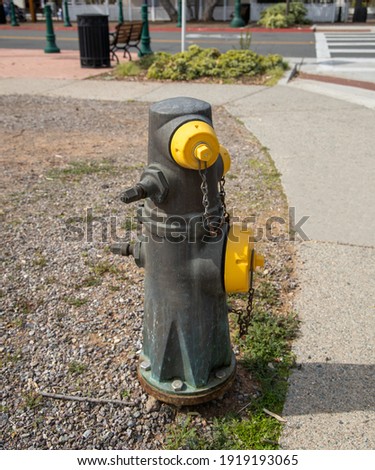 A bronze fire hydrant by the sidewalk.