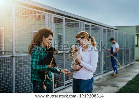 Two young adult women adopting beautiful dogs at animal shelter. Royalty-Free Stock Photo #1919208314