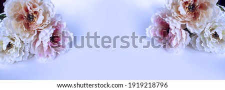 Delicate peonies in light colors on a light lilac background. A delicate festive composition. Background for greeting cards, invitations.