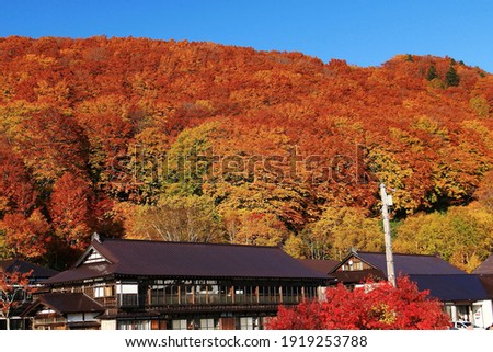 Autumn leaves of Mt.Hakkoda, Aomori City, aomori prefecture,Japan