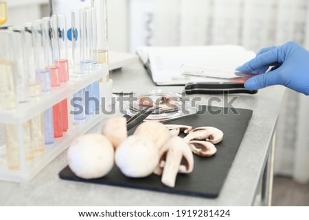 Scientist inspecting mushrooms at table in laboratory, closeup. Food quality control