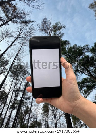 human hand is holding phone for taking picture with  blur tree and sky background