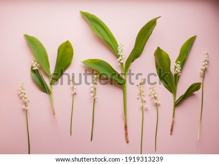 lily of the valley. minimalism concept