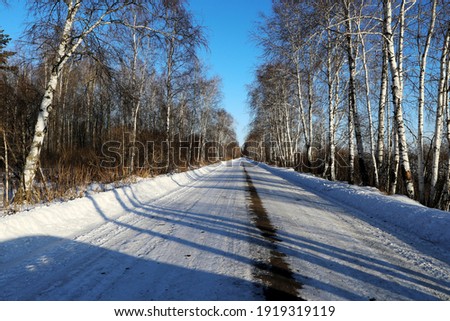 Majestic winter landscape. Winter road under sunlight at sunset. Christmas holiday. Fantastic winter background. Birch forest