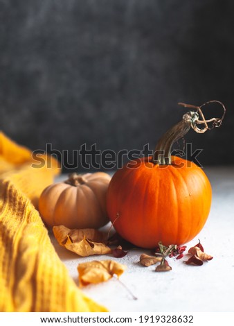cute pumpkin with autumn leaves on a dark background