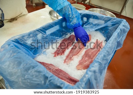 Fresh chilled fish fillets lies on ice