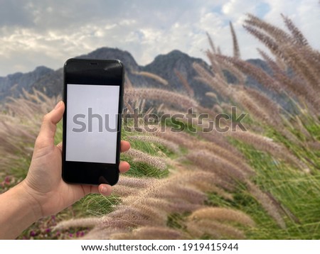 Human hand is holding phone for taking photo with blur grass and mountain   background