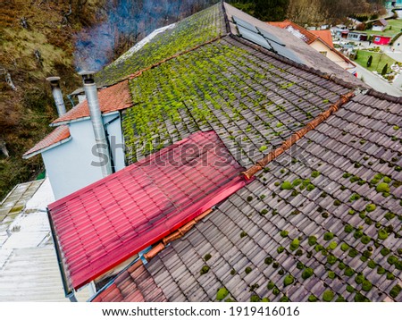 Aerial view of green moss and algae on slate roof tiles causes leaking roof