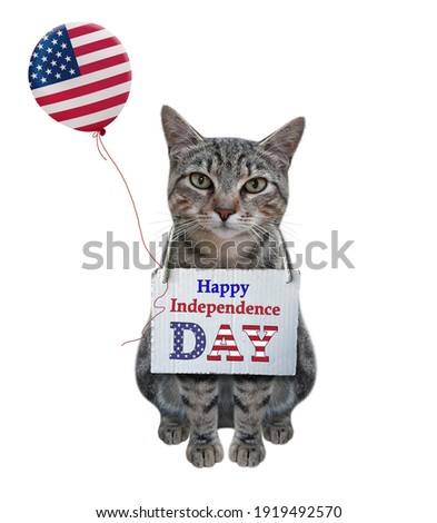 A gray cat sits with a balloon painted like the us flag and poster that says happy independence day. White background. Isolated.