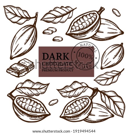 DARK CHOCOLATE And Cocoa Beans Of Theobroma Tree Monochrome Design On White Background In Vintage Style Hand Drawn Clip Art Vector Illustration Set For Print