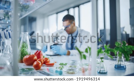 Foreground Focus on a Range of a Lab-Grown Cultured Vegetables: Peas, Tomatoes, Sweet Peppers, Plants. Medical Scientist Working on a Background in a Modern Food Science Laboratory. Royalty-Free Stock Photo #1919496314