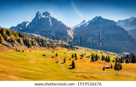 Aerial landscape photography.Magnificent autumn view of Grindelwald village valley from cableway. Majestic morning scene of Wetterhorn and Wellhorn mountains, Swiss Alps, Switzerland, Europe.