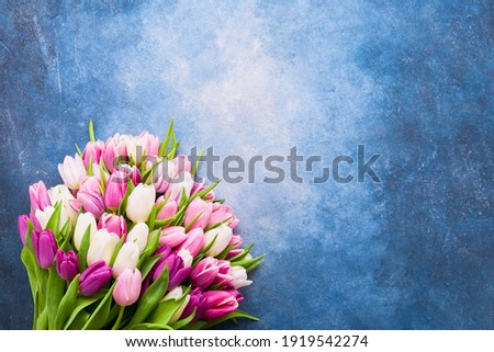 Pink and white tulips bouquet on a blue background, selective focus. Mothers Day, birthday celebration concept. Flat lay, copy space for text