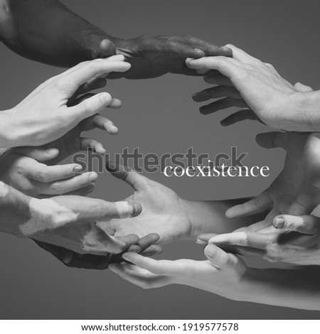 Art, lettering. African and caucasian hands gesturing on gray studio background. Tolerance and equality, unity, support, kindly coexistence together concept. Worldwide multiracial community. Royalty-Free Stock Photo #1919577578