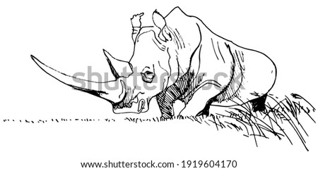 vector graphic freehand drawing of beautiful african rhinoceros imitation black ink isolated on white background. can be used as a tattoo, illustrations, printing on T-shirts, postcards, advertising.