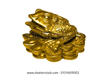 Money toad by Feng Shui on a white background.A money frog with a coin in its mouth.The statuette is a Chinese money toad that brings wealth.