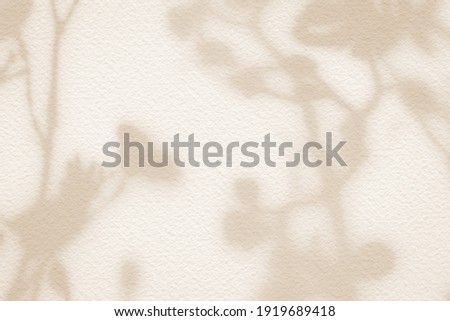 Natural flower shadows are blurred on light brown and cream color wall at home at sunrise.  Royalty-Free Stock Photo #1919689418