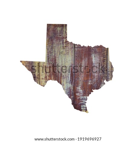 Political divisions of the US. Texas state in wood texture on white background