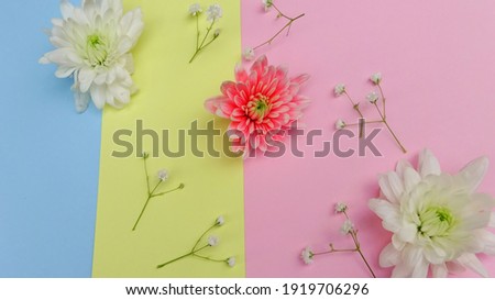 Abstract Background of Overlapping Paper in Trendy Pastel Colors: Blue,yellow and Pink - Material Design, Minimalism, Modern, Simple
