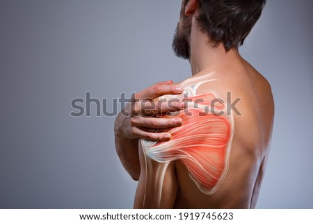 Shoulder muscle and nerve pain, man holding painful zone injured point, human body anatomy Royalty-Free Stock Photo #1919745623