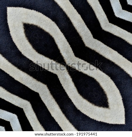 Camouflage background pattern made from zebra skin