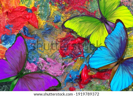 	
colors of rainbow. color concept. bright tropical morpho butterflies on an artist's palette. art paints and butterflies colorful background
