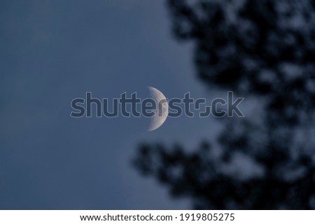 partly lit Moon in the blue sky without clouds with noticeable craters on its surface photographed from the forest between the branches of trees