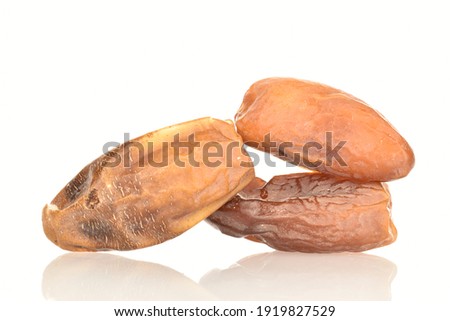 Three dried organic dates, close-up, isolated on white.