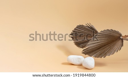 Tropical dry sugar palm leaves and white stones on pastel background. Banner photo for displaying your text, design, product or any more purposes.