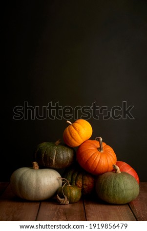 A selection of winter squash and pumpkin shot from the side with a wooden base and black background with space for copy or text above