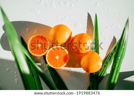 Fresh delicious fruits. Real live vitamin C. Red oranges. Vegetarian food. Healthy food. They are lying on a white table. Healthy lifestyle. Long green leaves from a palm tree. copy space.